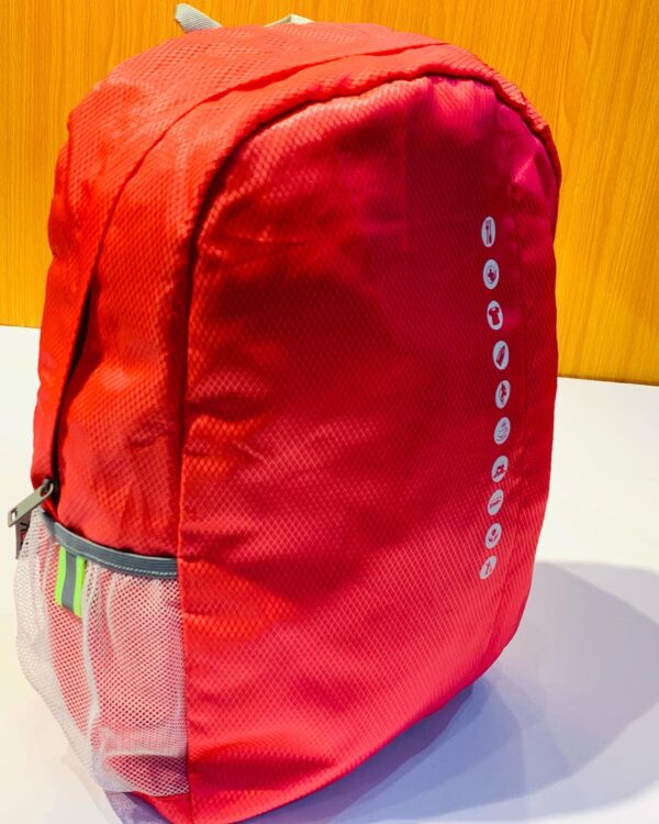 387772645 686651806749619 4282759797910658469 n